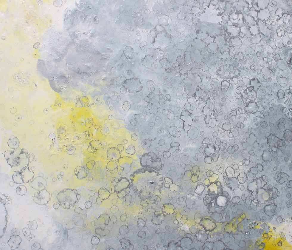  detail Parnassius apollo