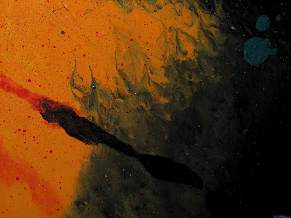  detail Euchloron megaera